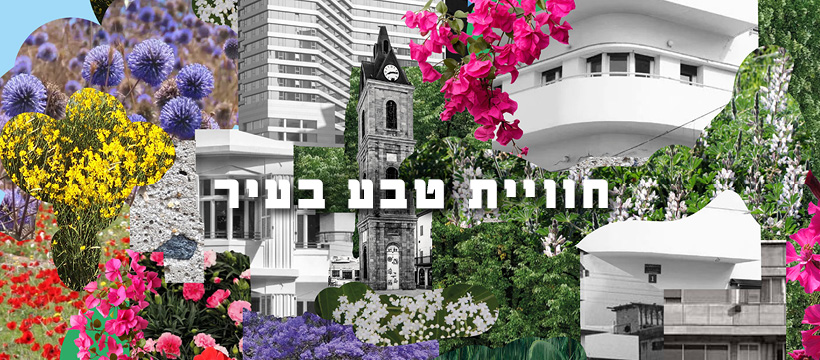 חוויות טבע בעיר