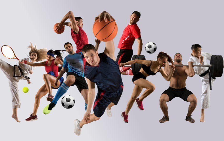 מידע על הצהרונים